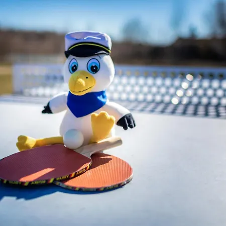 Ferienhaus Lagovida Hafenhaus G Am Störmthaler